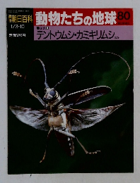 動物たちの地球　80