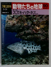 朝日百科　動物たちの地球90　スズキ・ハタ・キス　3/21
