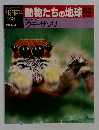 朝日百科　動物たちの地球82　クモサソリ　1/24