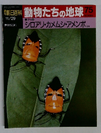 朝日百科動物たちの地球75