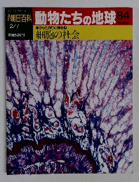 朝日百科　動物たちの地球84