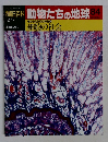 朝日百科　動物たちの地球84