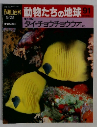 素朝日百科動物たちの地球　91