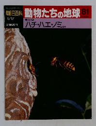 動物たちの地球81　ハチ・ハエ・ノミエ　1/17