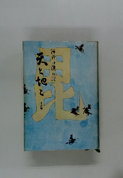 天と地と 中の巻　海音寺潮五郎　