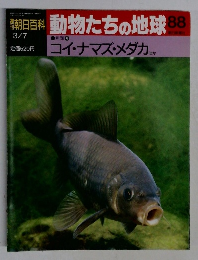 朝日百科動物たちの地球88　コイ・ナマズ・メダカ