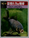 朝日百科動物たちの地球88　コイ・ナマズ・メダカ