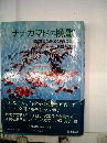 ナナカマドの挽歌 地獄を見た母 愛と痛恨の手記