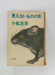 見えないものの影