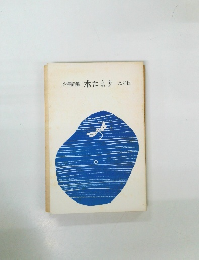 少年詩集　水たまり