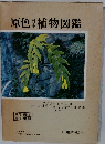 原色植物図鑑