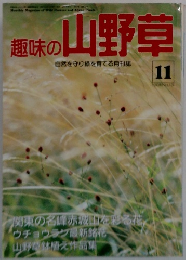趣味の山野草 11