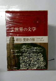 新集世界の文学　27　ヘッセ