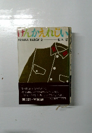 けんかえれじい