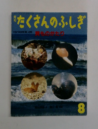 たくさんのふしぎ　8