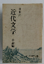 日本の  近代文学 小説編