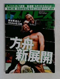 プロレス　2015年1/28号