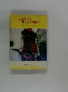 大どろぼうホッツェンプロッツ