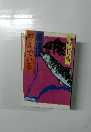 源流は呼んでいる　　　西野喜与衛