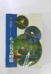 とっとりの野鳥