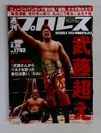 プロレス　2015 3.25
