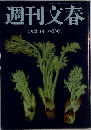 週刊文春　5月28日号