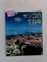 サンゴのすむ海　2003年8月号