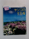 サンゴのすむ海　2003年8月号