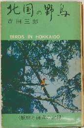 北国の野鳥　BIRDS IN HOKKAIDO