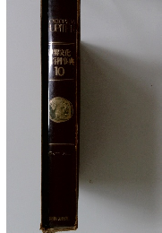 世界文化 百科事典　10