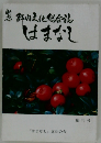 郡内化総合誌 はまなし 創刊号 