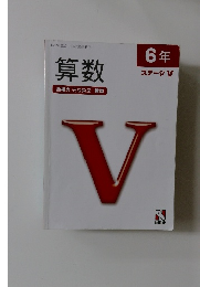 算数 6年  ステージ V