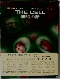 THE　CELL　細胞の話