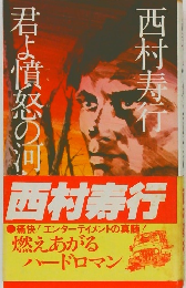 君よ憤怒の河を渉れ