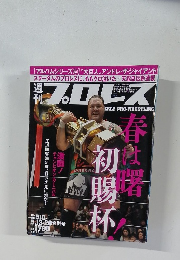 プロレス　平成27年4月28日
