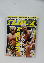 週刊プロレス 2015年 12/30 号