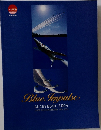 Blue Impulse  GUIDEBOOK 2004