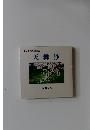 天舞抄　