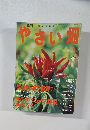 やさい畑　2003年夏号