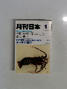 月刊日本 1　