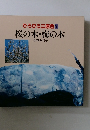 ひろびろ三原色7　桜の木・梅の木