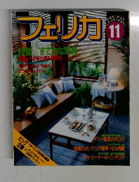 フェリカ　No.11