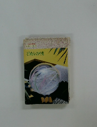 COOK料理文庫  毎日の食卓　そうめん・冷や麦