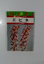 エビネ
