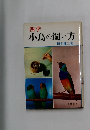 小鳥の飼い方