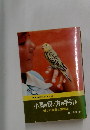 小鳥の飼い方の手引き