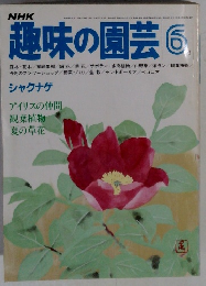 趣味の園芸6　シャクナゲ
