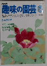 趣味の園芸6　シャクナゲ