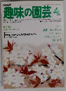趣味の園芸　4月号