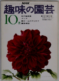 趣味の園芸　１０